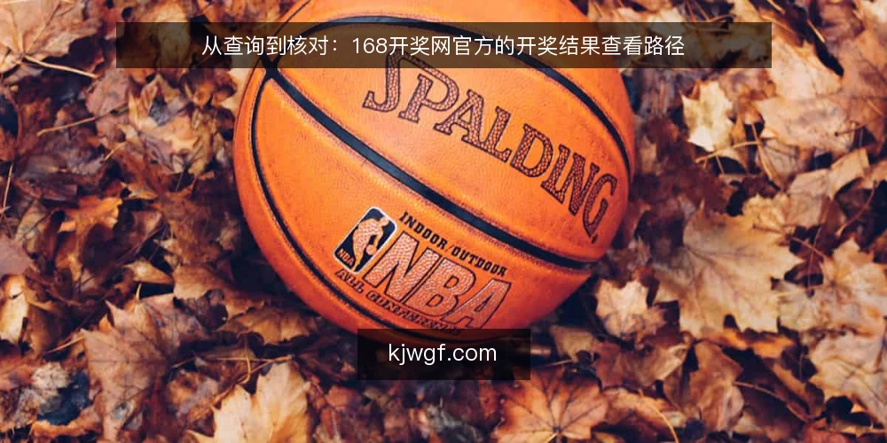 从查询到核对:168开奖网官方的开奖结果查看路径 — 开奖结果查询的日常困扰 配图