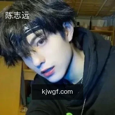 陈志远